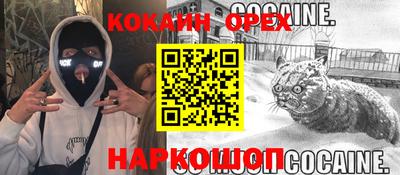 твердый Гусев
