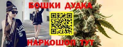 твердый Гусев