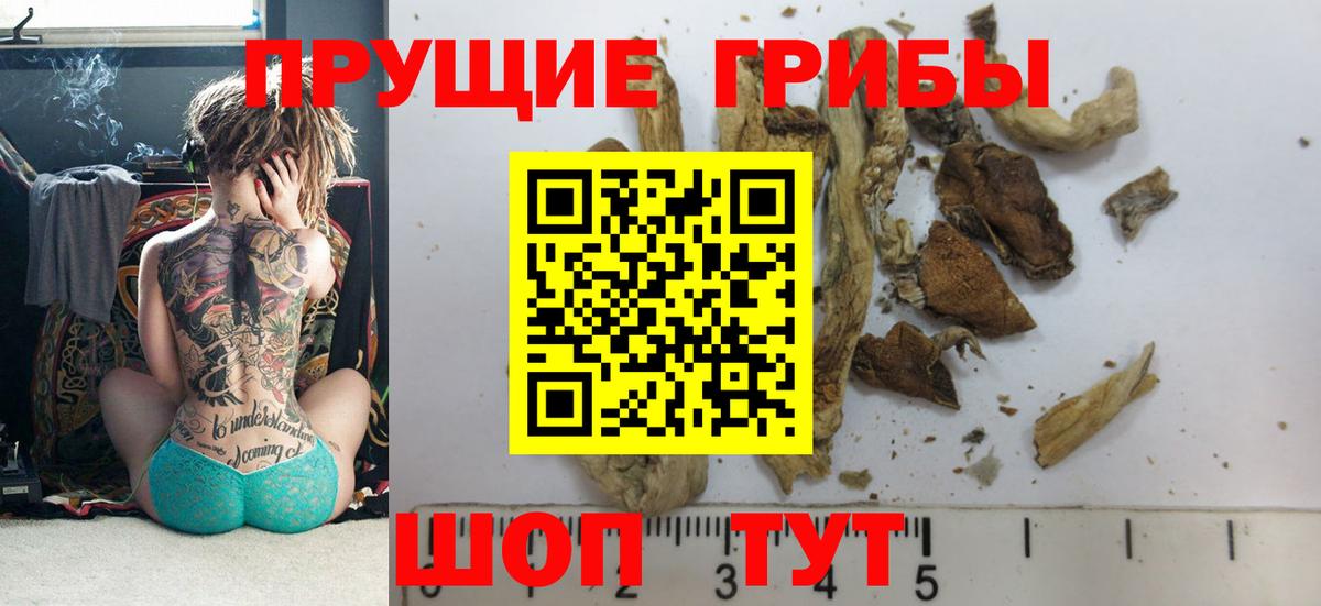 Кирово-Чепецк  Галлюциногенные грибы GOLDEN TEACHER  Галлюциногенные грибы Psilocybe  Вход с VPN 